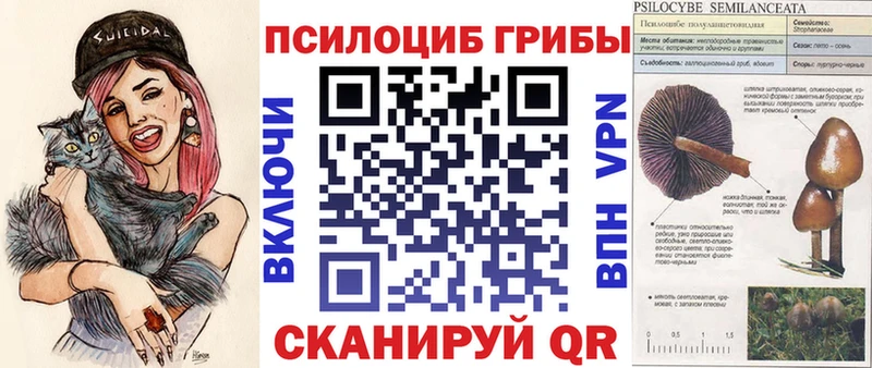 Купить закладки  Балашов  Псилоцибиновые грибы ЛСД 